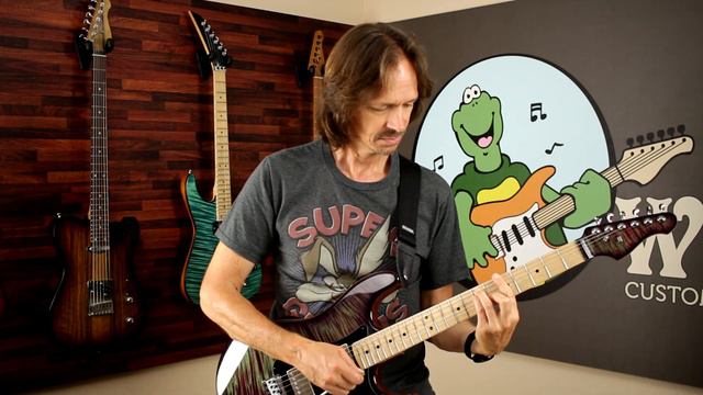 Wilkinson 1302 Tremolo Review