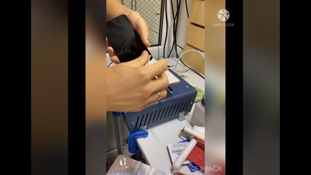iPhone XR замена сенсора смотреть онлайн