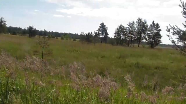 Вирусная гашетка смотреть онлайн
