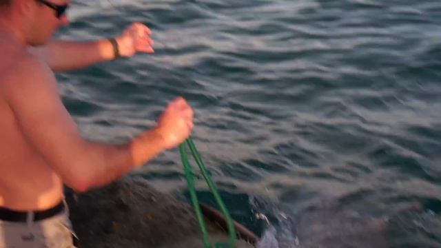 REVENGE on MASSIVE Bull Shark! Catch Clean Cook! смотреть онлайн