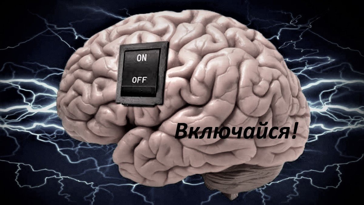 Злоба и зависть до добра не доведут. О кризисах капитализма (Елена Ведута) смотреть онлайн