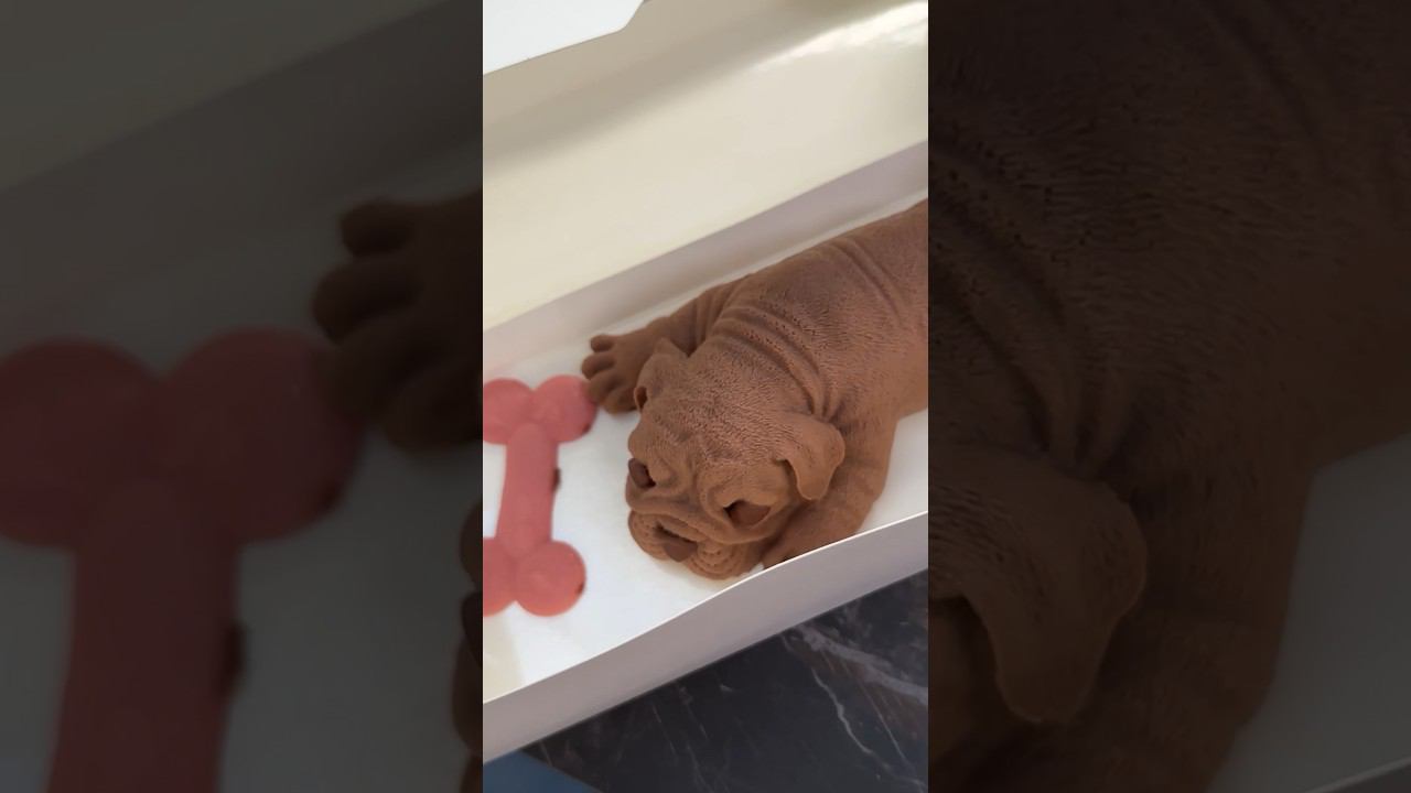 Дочки такого не ожидали! смотреть онлайн