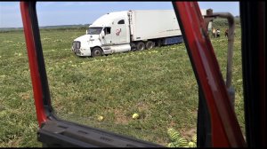 Арбуз транс всей семьёй)!