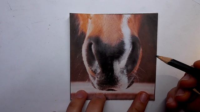 How to draw your sketch in an easy way - Draw realistic animals in pastels - Sabine Lackner Fine Ar смотреть онлайн