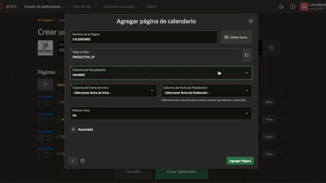 GUIA TÉCNICA PARA CREAR UNA APLICACIÓN EN ORACLE APEX смотреть онлайн