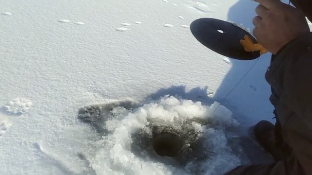 рыбалка В Актобе. уил.10.12.2022.первая часть.1.