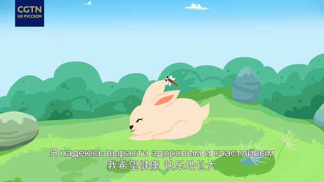 «У меня есть мечта»: сегодня Международный день биологического разнообразия смотреть онлайн