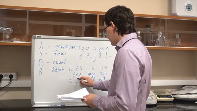 Комплементарное взаимодействие генов. Разбор задачи №4.2 смотреть онлайн