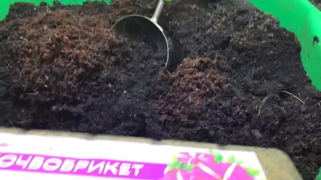 Нужно ли добавлять золу в грунт для рассады? В какие почвенные смеси я обязательно добавляю золу? смотреть онлайн