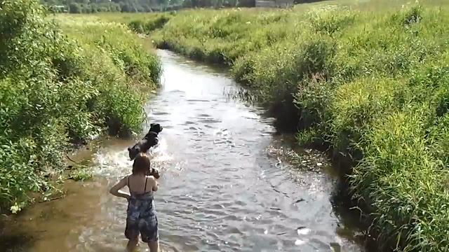 2012-07-01 Джим дача 3.mp4 смотреть онлайн