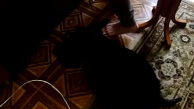 Харди поёт 3 смотреть онлайн