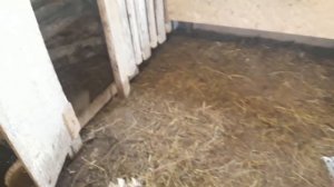 Индюшка занеслась? Разочарование!!!