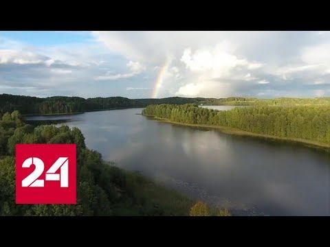 В России появился аналог Greenpeace - Россия 24