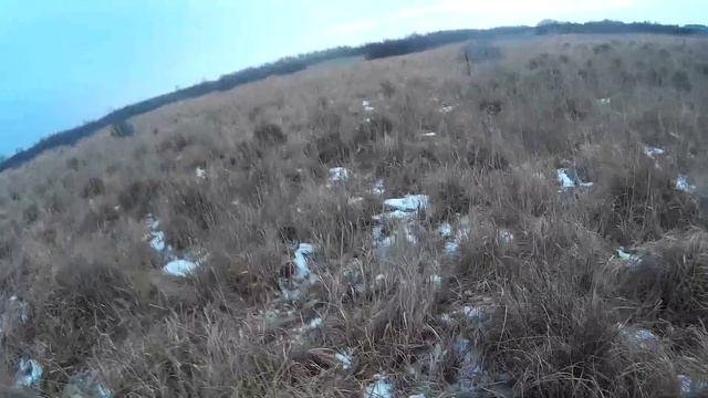 Охота на сибирскую Косулю 18 + смотреть онлайн