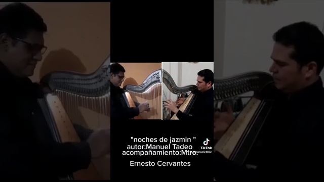 Noches de jazmin polka paraguaya instrumental autor :Manuel tadeo tobias смотреть онлайн