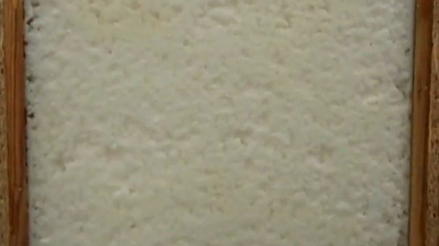 Термовата. Имитация переувлажнения. День первый.