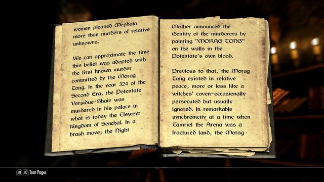 Skyrim Books 26 : The Brothers Of Darkness