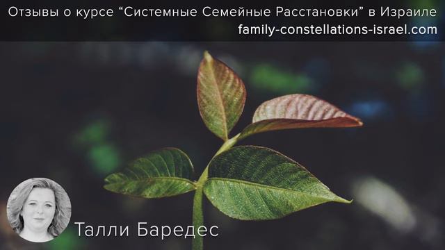 ОТЗЫВЫ О СИСТЕМНЫХ СЕМЕЙНЫХ РАССТАНОВКАХ В ИЗРАИЛЕ смотреть онлайн