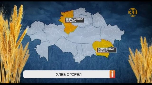 Из-за засушливого лета сгорели тысячи гектаров пшеницы смотреть онлайн