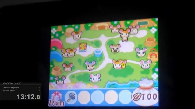 Hi Hamtaro Ham Ham Challenge (NDS) Speedrun (5th Place Worldwide, 2nd Place In Canada)
