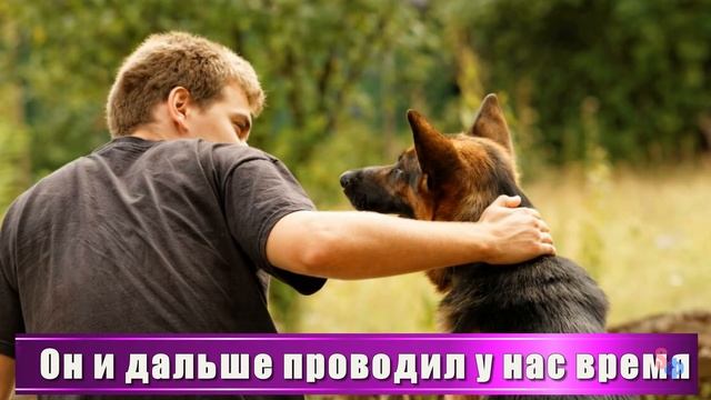 — Инна, как ты можешь спать спокойно, когда твоего ребенка нет дома? — спросила я соседку смотреть онлайн