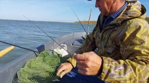 Рыбалка в лимане Малый Ахтаниз / Взяли лодку в аренду / Поймала хорошего сазана