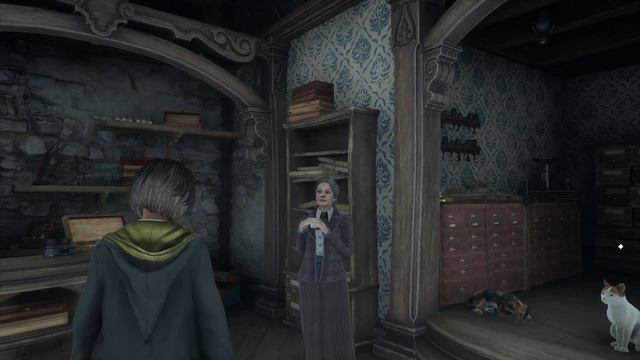 Exploring The Hogwarts Hogsmeade 🏰 'Scrivenshaft's Quill Shop' [PS5 Hogwarts Legacy]