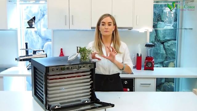 Кулинарный рай