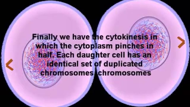 VIDEO CANCION BIOLOGIA 416 смотреть онлайн