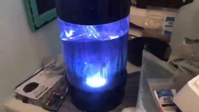 Jellyfish Delivery! How to Acclimate your new jellyfish!!!! ??? My Jellyfish Journey! смотреть онлайн