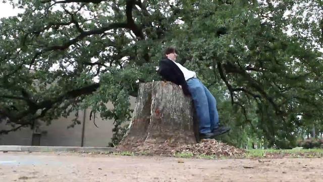 Planking the Safe Way смотреть онлайн