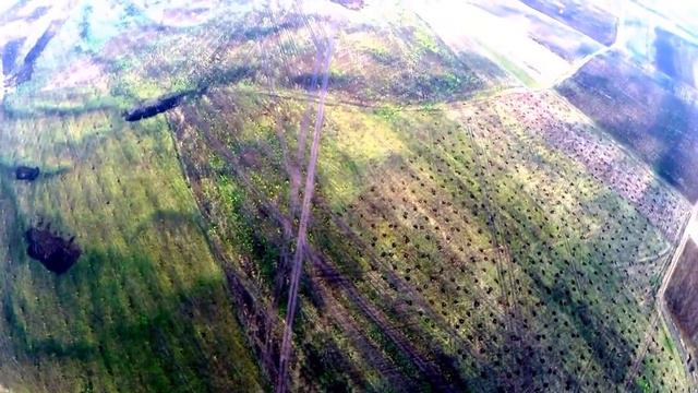 Cад грецкого ореха интенсивные сорта. смотреть онлайн