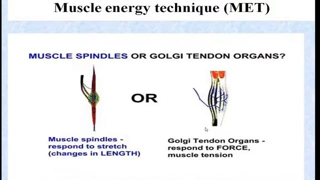 Manual Therapy - Lec 6