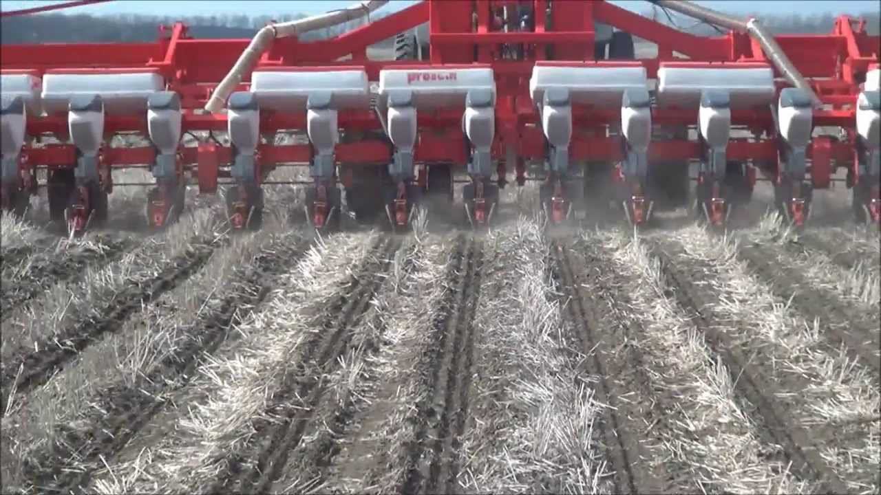 Strip-till ( сев кукурузы) ООО 