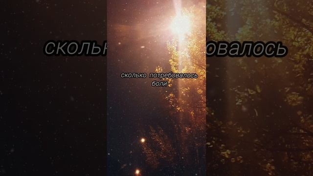 YouCut_20231028_155532806.mp4