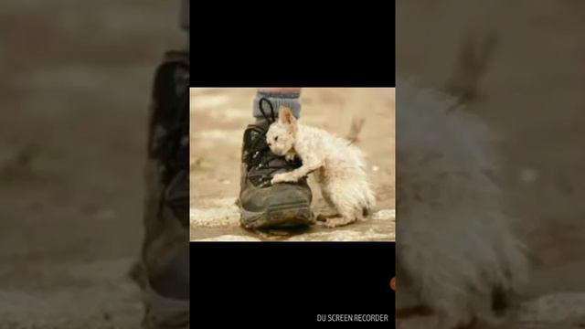 Реакция на грустную историю про кота смотреть онлайн