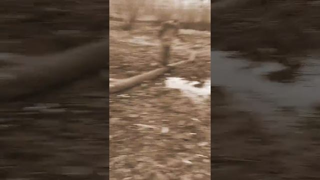 Как Джеймс Кук открыл америку смотреть онлайн