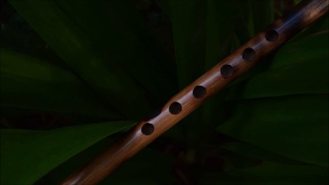 Flute Ringtone | Free Music Ringtones | Instrumental Ringtones смотреть онлайн