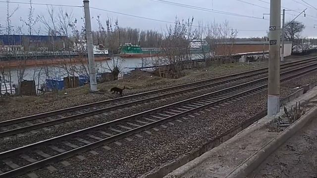 Из Ростова в Новочеркасск на самокате смотреть онлайн