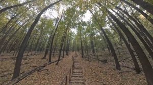 Каменная чаша открыта! Презентация эко-тропы в Жигулевских горах