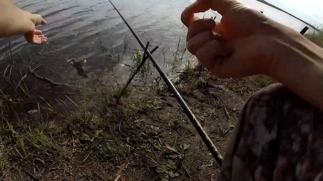 ДЖУСА. Крупная сорожка. смотреть онлайн