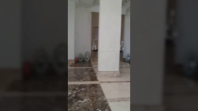 Gravity Sahl Hasheesh смотреть онлайн