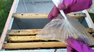 отводок пчел на одну рамку часть 2