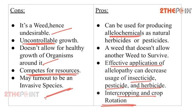 Allelopathy - Everything You Need To Know About it | 2THEPOINT смотреть онлайн