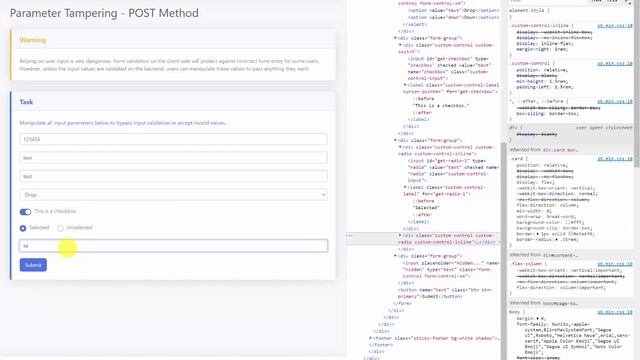 Application Security: Client Validation Flaws смотреть онлайн