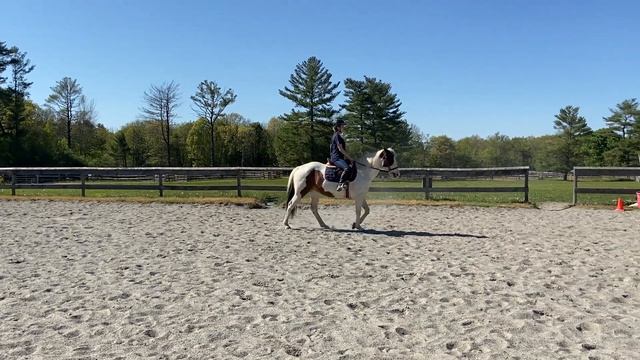 Amber F & Splash of Sass | English Equitation WT | Class 11 смотреть онлайн