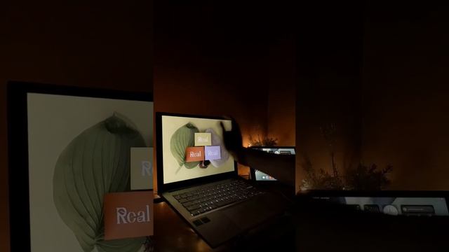 Redesigning @RealFruitPowerjuice logo. #branding #logodesign #graphicdesign #redesign #logo смотреть онлайн