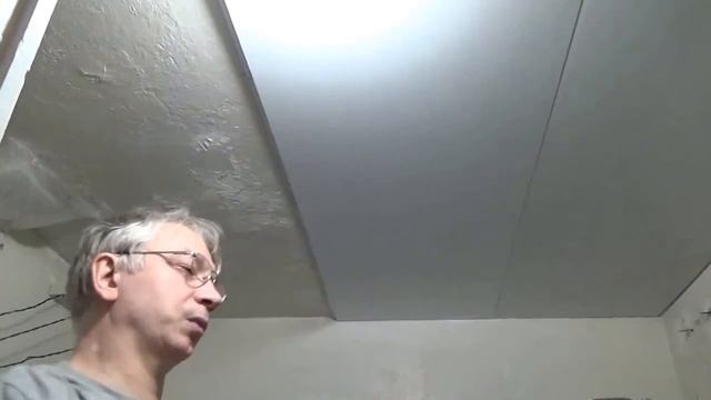 Потолок из панелей  ПВХ