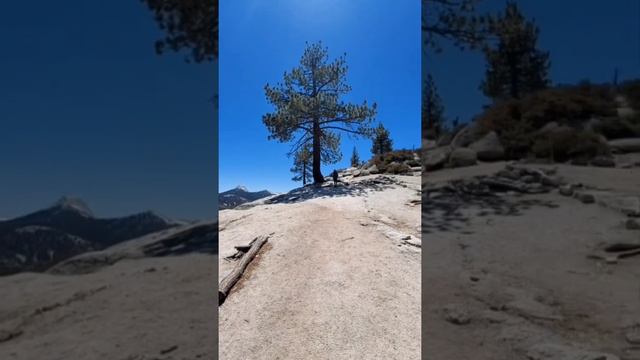 HALF DOME/YOSEMITE NATIONAL PARK