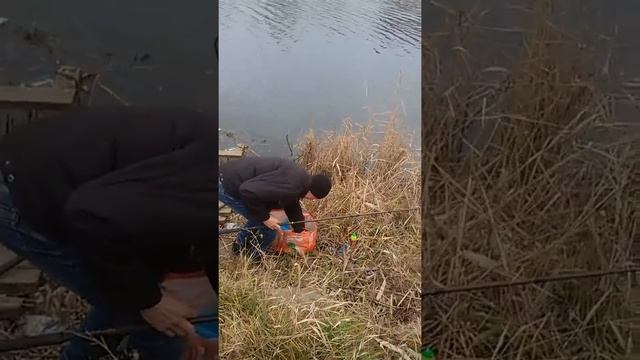 Рыбалка в Краснодаре. Щука на живца.Озеро Карасун. смотреть онлайн